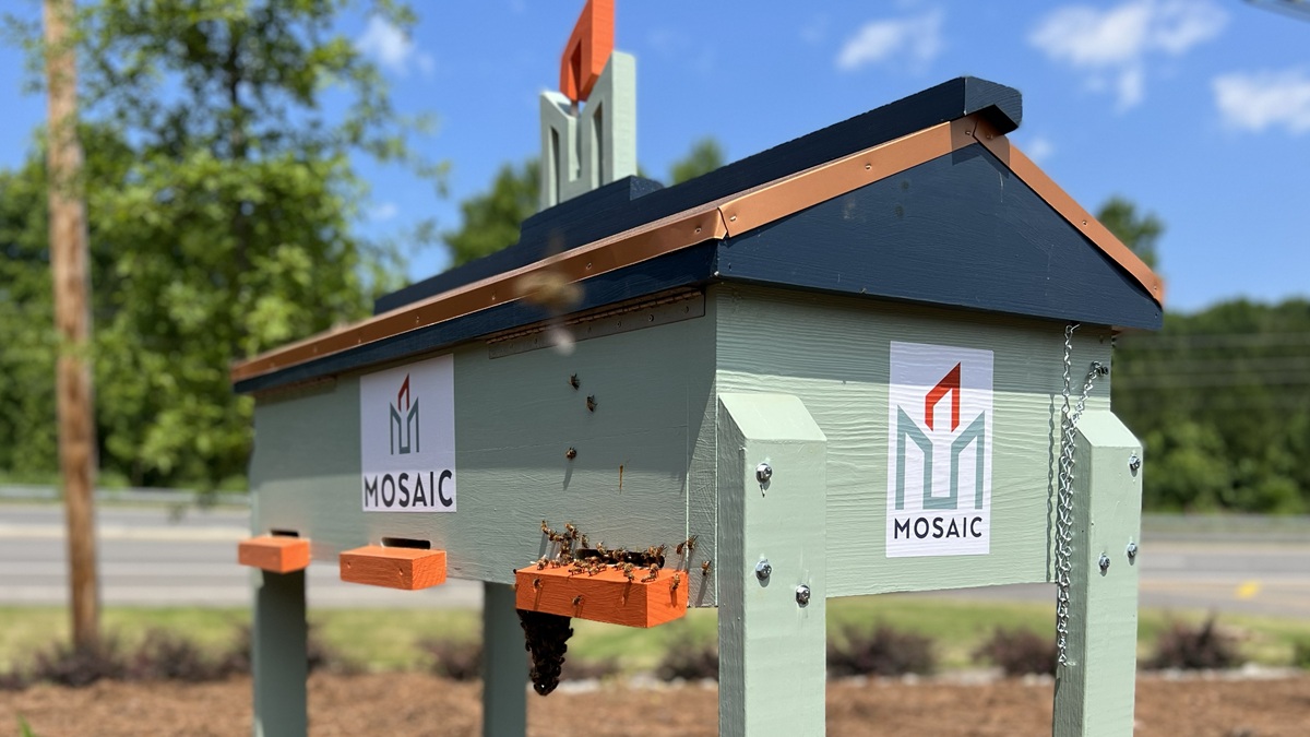 MOSAIC Beehive