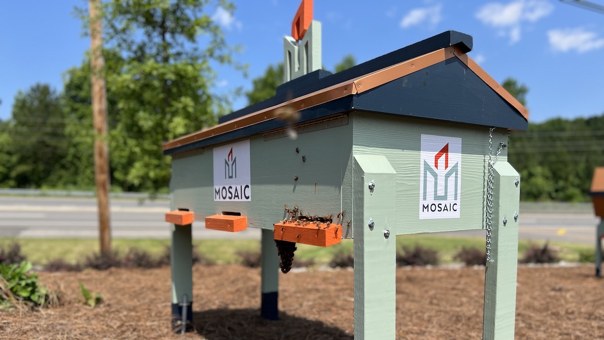 A branded beehive with active bees