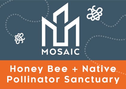 Native Bee and Pollinator Sanctuary